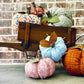 Quilted Pumpkins and Topiary Pattern - Print Paper Version