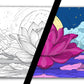 Lotus | Color Your Own Playmat Set