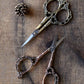 Victorian Scrollwork Scissors