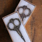 Victorian Scrollwork Scissors