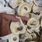 Texas Gulf Coast Oyster Shells
