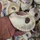 Texas Gulf Coast Oyster Shells
