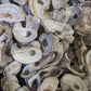 Texas Gulf Coast Oyster Shells