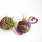 Tiered Air Plant Hanger Knit or Crochet Kit