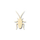Unfinished Wood Cockroach Shape -Insect - Animal - Craft - up to 46" DIY