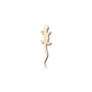 Unfinished Wood Salamander Shape - Animal - Craft - up to 46" DIY
