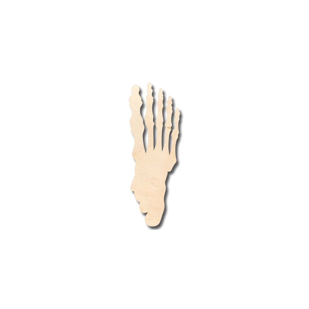 Unfinished Wood Skeleton Foot Shape - Bones - Craft- up to 46" DIY