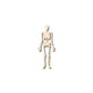 Unfinished Wood Skeleton Shape - Halloween - Spooky - Craft - up to 46" DIY