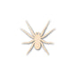 Unfinished Wood Spider Shape - Insect - Animal - Wildlife - Craft - up to 46" DIY